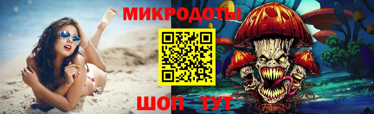 Галлюциногенные грибы Psilocybe Ревда