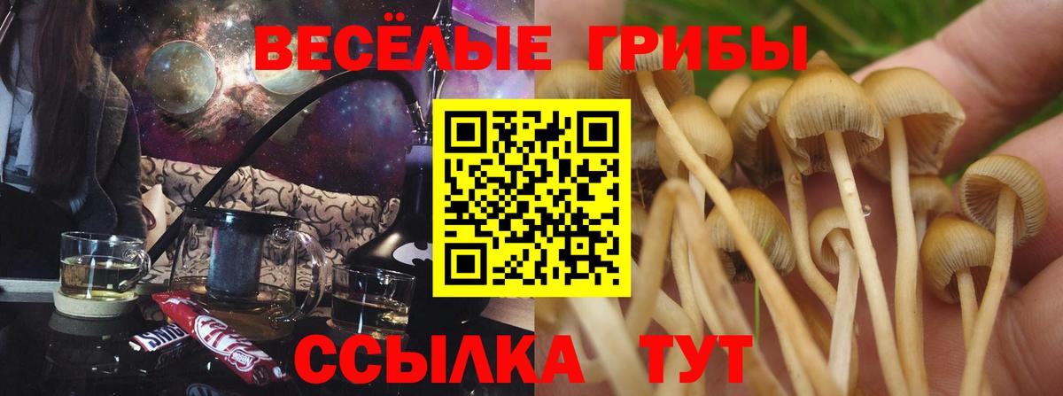 Галлюциногенные грибы MAGIC MUSHROOMS  Вход с VPN  Галлюциногенные грибы Psilocybine cubensis  закладки  Ревда 